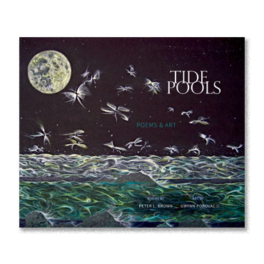Tide Pools Cover